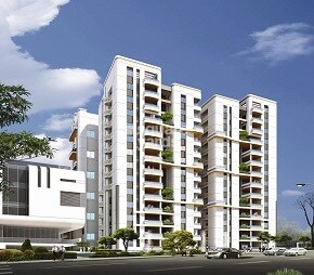 NCC Urban Gardenia