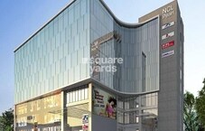 NCL Pearl Featured Image