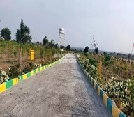 Neemsboro Bharani Avenues Video