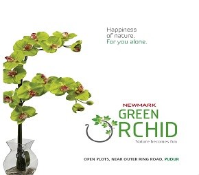Newmark Green Orchid