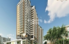 Northstar SP Palacio Featured Image