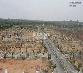 Oorjita Meghana Golden Woods Featured Image