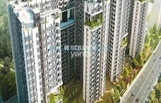 Patel Smondo Featured Image