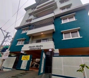 Peace Pearl Signature