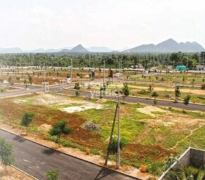 Peram Signature Park