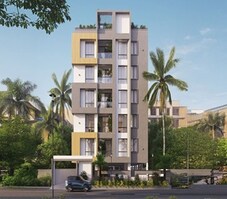 Platina Iris Featured Image