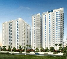 Pradeep Bliss Featured Image