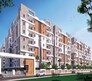 Pragathis Raghupathi County Flagship Image