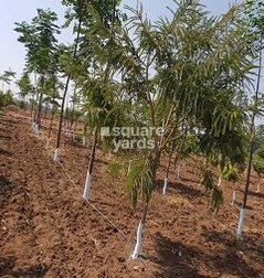 Prakruti Vanam Prakruti Vanam