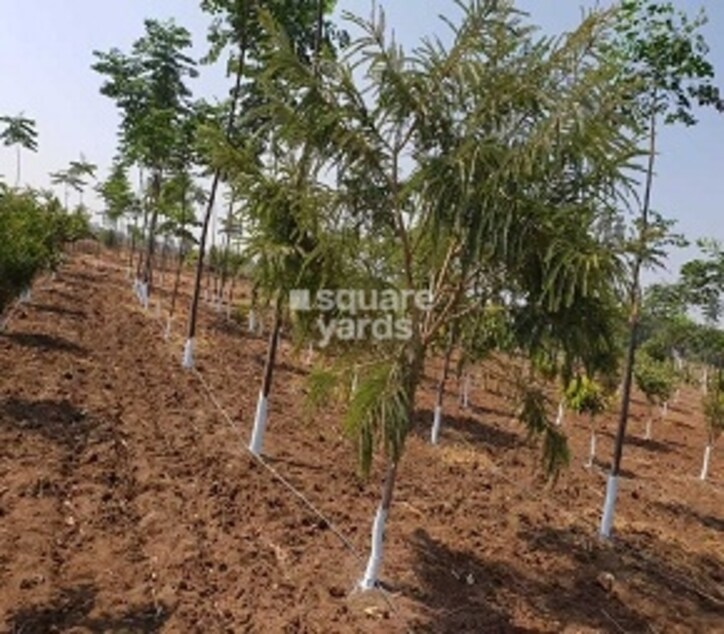 Prakruti Vanam Cover Image