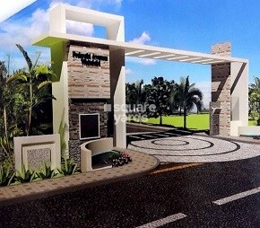 Prakruti White Field