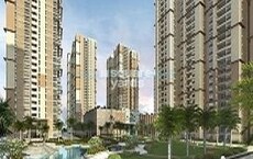 Prestige High Fields Phase II Featured Image