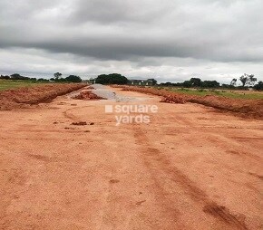 Raaga Mayuri Vantage