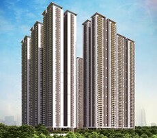 Rajapushpa Aurelia Featured Image