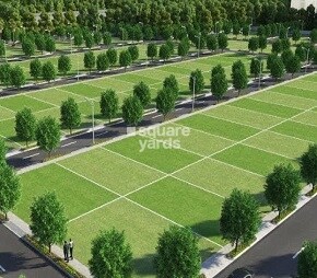 samooha-green-pharma-one