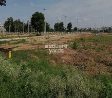 Sandstone Crescent City Featured Image