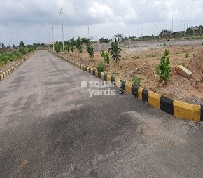 Sandstone Spring City