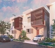 Sark South Meadows Video