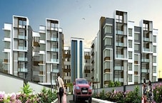 Shanta Sriram Blue Birds Habitat Featured Image