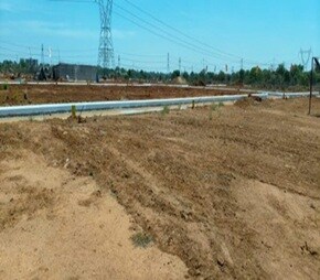 Shubha Golden Orchid Video