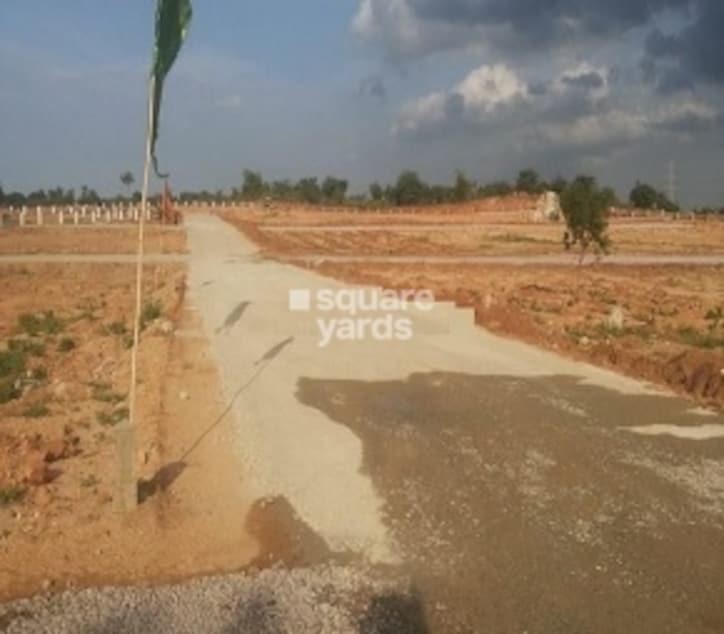 Siyora Spring Fields Cover Image