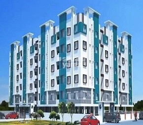 SL Sneha Maple Height