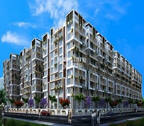 SNR The Elite Featured Image