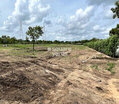 Sree Urban Ridge, Shankarpalli, Hyderabad