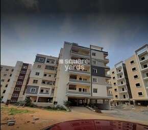Sri Diamond Oak