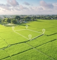 Sri Sri Sudharma Sri Sri Sudharma