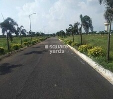 Srika LR Song Of The South Featured Image