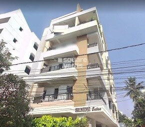 Srinidhi Enclave Habsiguda