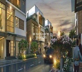 Sriven Avenues Iris