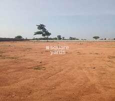 Sunrise Nature County Featured Image