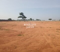 Sunrise Nature County