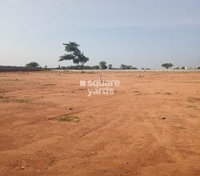 Sunrise Nature County