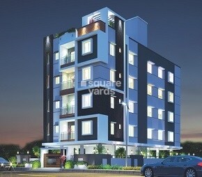 Sunshine Green Woods Featured Image