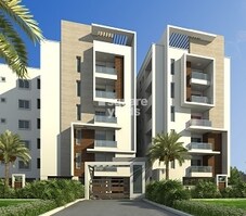 Sunshine Iris Featured Image