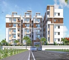 Sunshine Tansy, Manikonda, Hyderabad