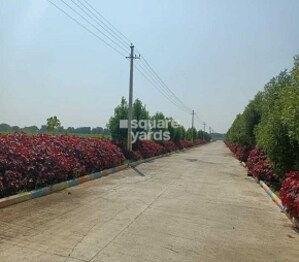 Swathi Luckie Township