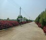 Swathi Luckie Township Flagship Image