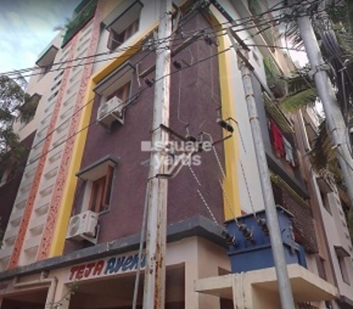 Teja Avenue Cover Image