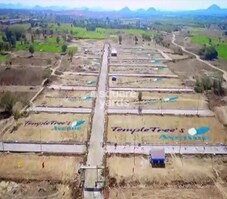 Temple Trees Avenue Featured Image