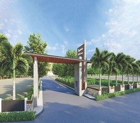 Thapovan Hill County