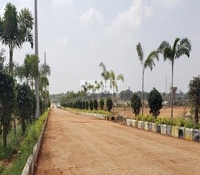 TMR Sarovar, Krishnanagar, Hyderabad