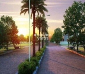 TMR Urban Meadows
