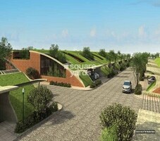 Total Environment The Meadow Dance Phase II Featured Image