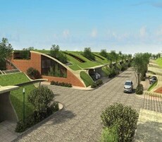 Total Environment The Meadow Dance Featured Image