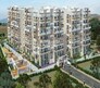 Tricolour Palm Cove Flagship Image