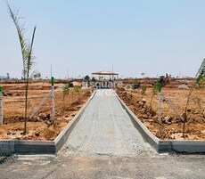 True Gold Hills Featured Image